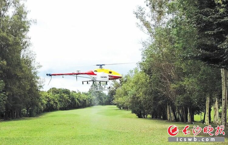 湖南自貿區長沙片區企業獲2.5億泰銖訂單 長沙造無人機將飛進泰國農田_fororder_1