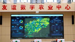 黑龙江：为“中国饭碗”备好更多优质粮