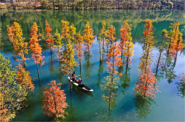 咸丰县召开文旅推介会共谋旅游业复苏发展 新格局