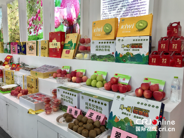 陜西水果乘中國—東盟博覽會東風 積極開拓東盟市場