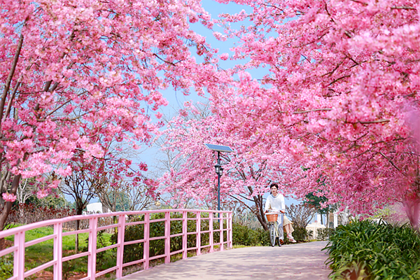 每月都有新玩法 成都新都区三河街道2023年度十大消费节启幕_fororder_未标题-1