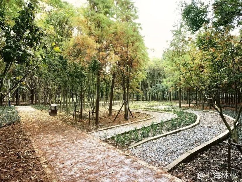 【文化旅游】上海小微开放休闲林地增至54个