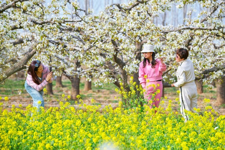 圖片默認標題_fororder_55