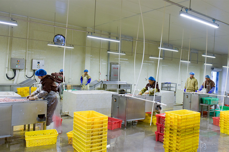 圣农集团党委：奏响乡村振兴曲 共圆农民富裕梦_fororder_微信图片_20230303142352