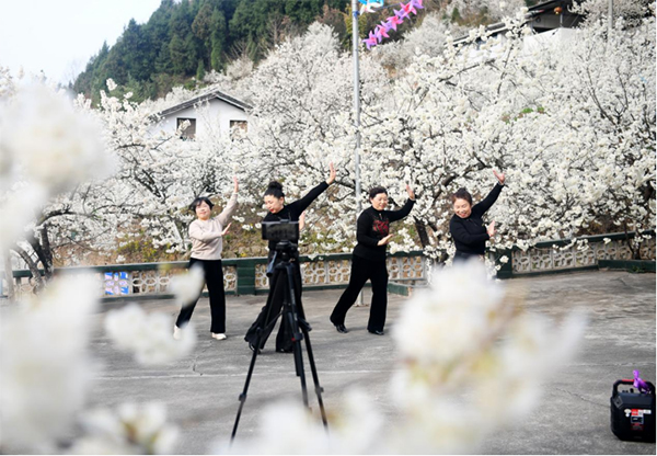 广元樱花谷风景区电话图片