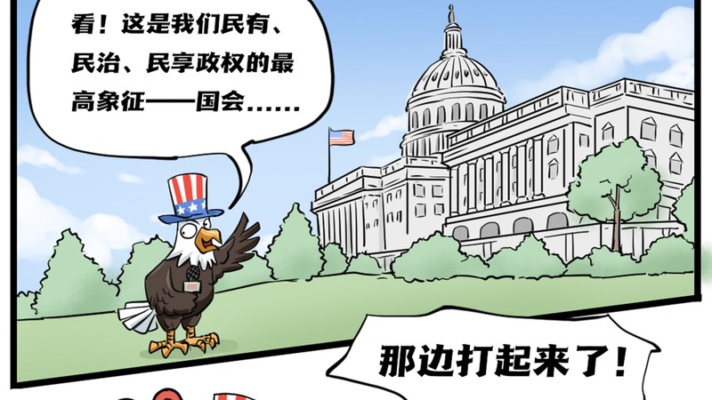 【国际漫评】连环画|美式民主是如何越“错”越勇的？（上）