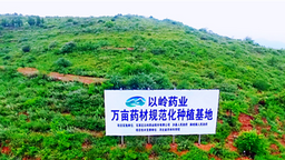 圖片默認標題