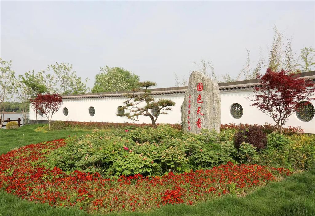 【文化旅游】上海廊下郊野公园全新推出首届“上海湾区牡丹节”