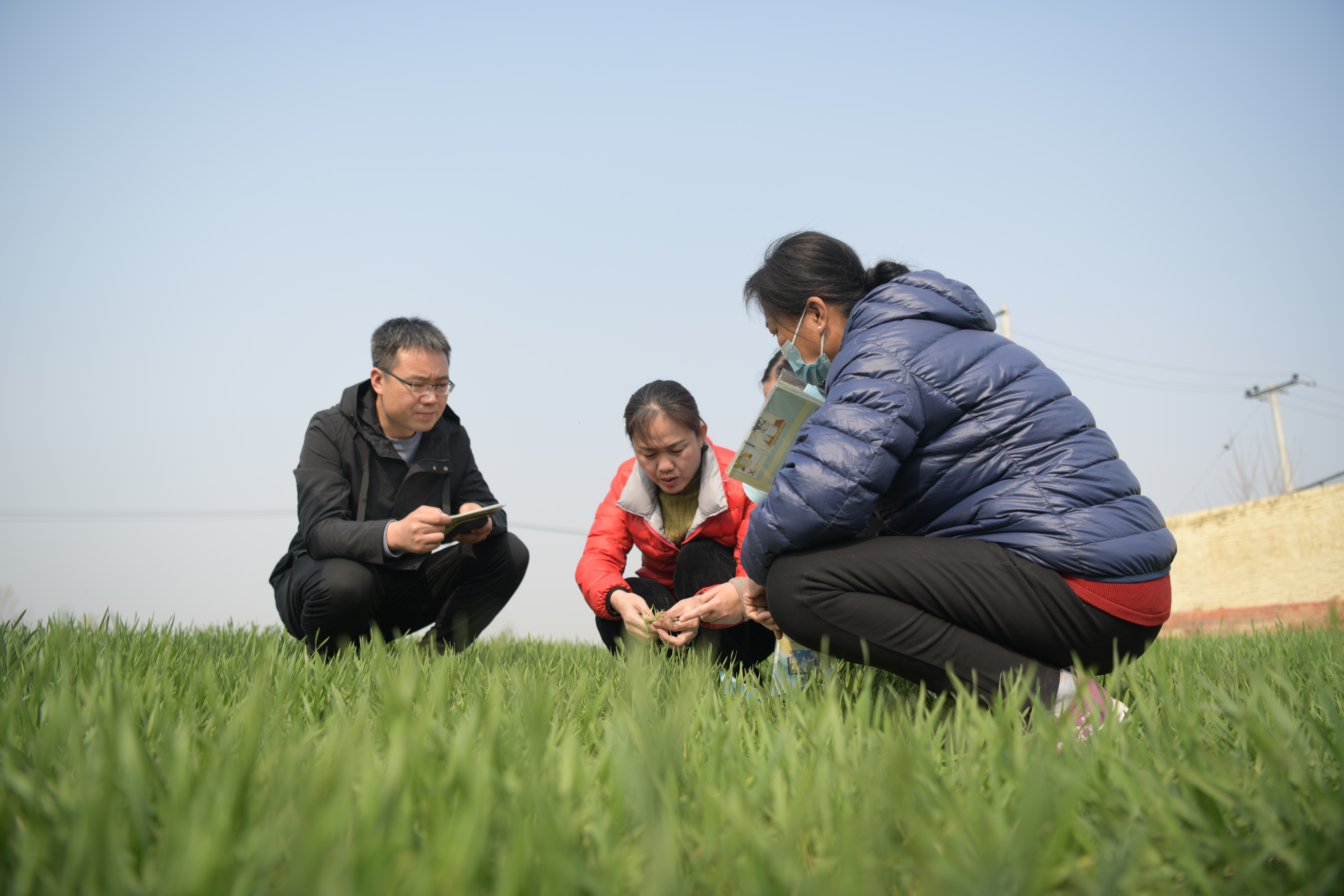 （原创）石家庄晋州：孝善饺子宴 浓浓敬老情_fororder_图片7