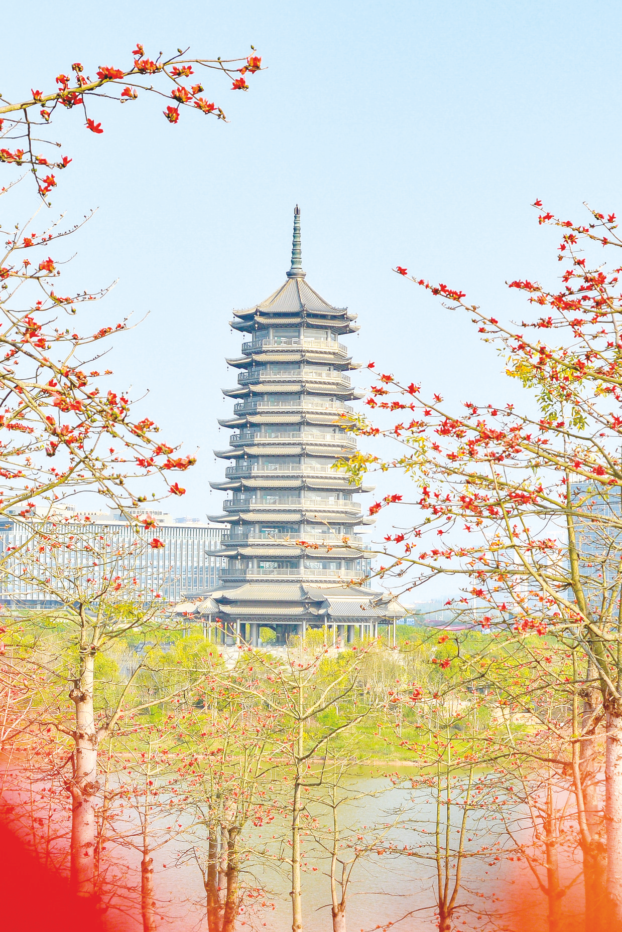 “邕”有春天 花開滿城