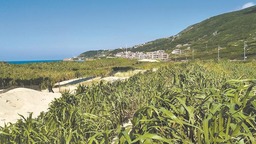 全国首个菌草类型重点实验室落地福建