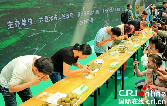 贵州六盘水举行首届凉都猕猴桃节活动