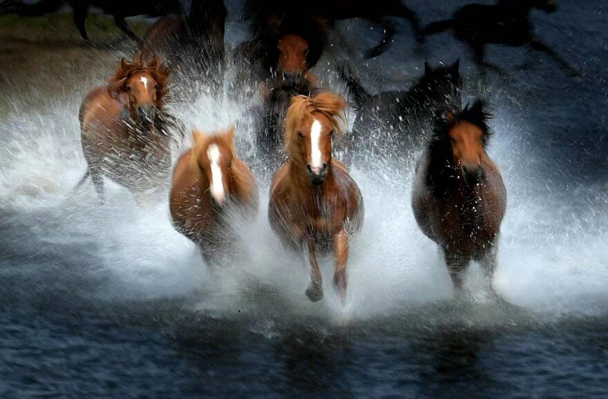 Impression of Inner Mongolia Photography Exhibition Opens to the Public in National Art Museum of China_fororder__cgi-bin_mmwebwx-bin_webwxgetmsgimg__&MsgID=8359220295671190574&skey=@crypt_9a92517d_758fd50d11108bdbf8973cf82bb199b4&mmweb_appid=wx_webfilehelper
