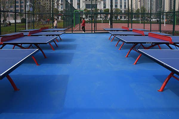 （张）自贡市荣县青阳市民体育公园正式开园_fororder_4青阳市民体育公园