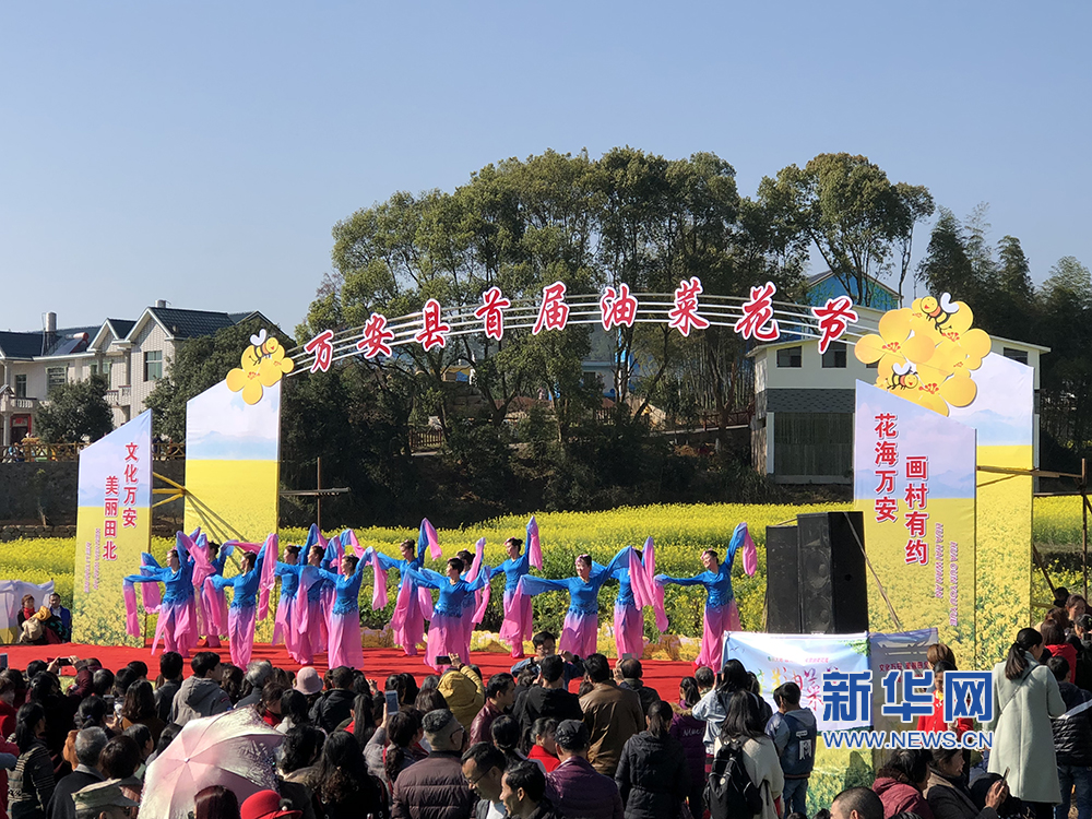 到画村看花海 江西万安县首届油菜花节开幕