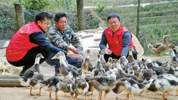 雲南交投結對幫扶見實效 共建共管助發展