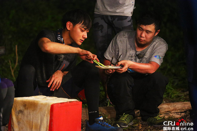 《我们的法则》将收官 众明星演绎"丛林菜鸟"成长记