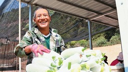 臨滄滄源：蔬菜賣到北上廣 鄉村旅遊正紅火