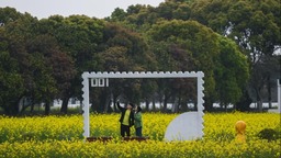 浙江嘉兴：打造美丽乡村旅游精品线