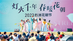 16萬遊客共迎武漢新洲花朝節