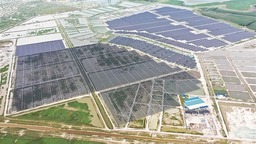 黑龙江肇源 项目建设“3+N” 转换高质量发展新动能