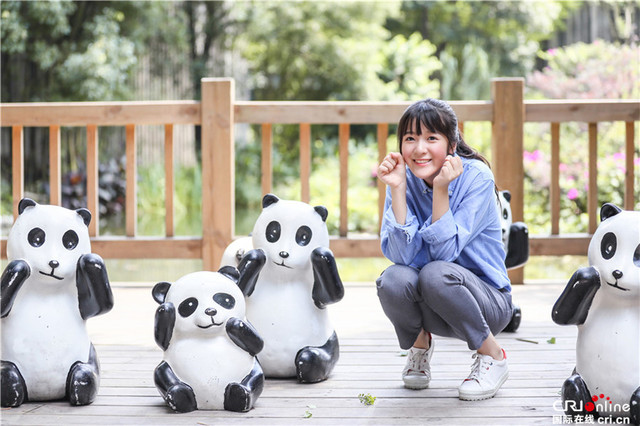 我们来了众嘉宾当志愿者照顾熊猫宝宝图