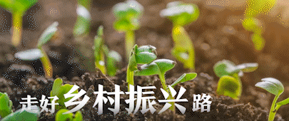 “国家账本”中的国计民生