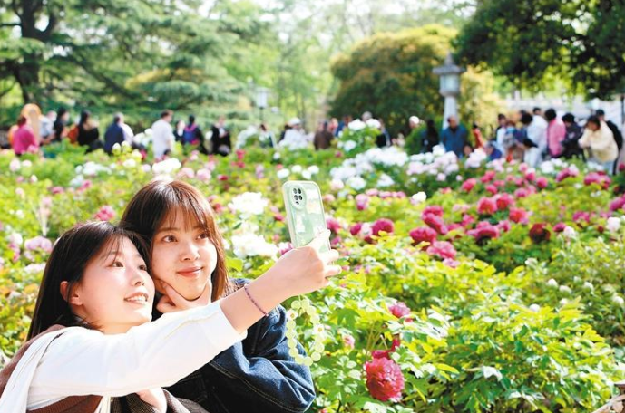 踏青赏花 美醉了_fororder_微信图片_20230407084536