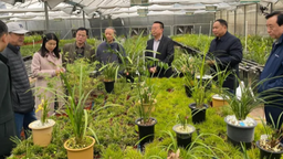 重慶大學老科協赴綦江考察調研 共助鄉村振興