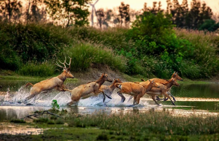 Spring in Taizhou: a City of Rivers Offering Happiness_fororder_75