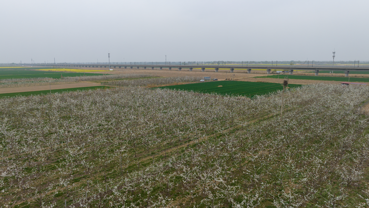 图片默认标题_fororder_图片19