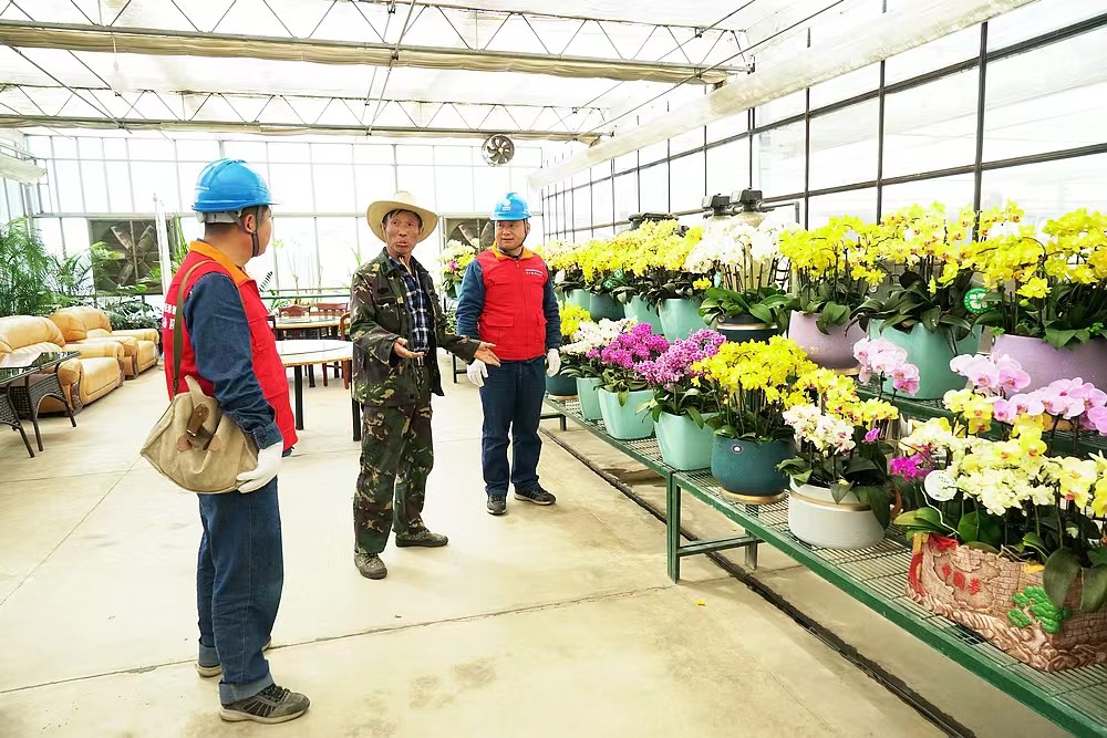 国网陕西电力：优质服务彰显企业担当 跑出乡村振兴“加速度”_fororder_西安3