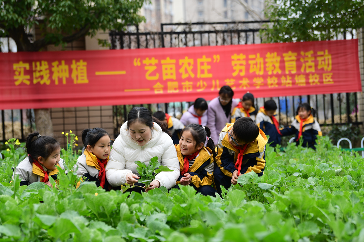 合肥瑶海：奋力答好教育高质量发展答卷_fororder_图片2