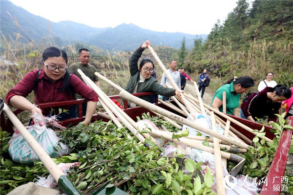 圖片默認標題_fororder_油茶1_副本