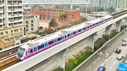 跟著武漢地鐵城市櫻花專列打卡“櫻花季”