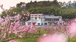 【城市遠洋】重慶銅梁圍龍鎮：美麗鄉村入畫來