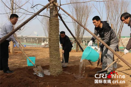 【三秦大地 西安】在大西安东部储蓄一片绿  这个春天浐灞生态区总动员植树增绿