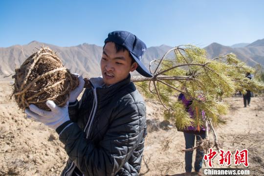 经济观察：中国兴起“网络植树”热