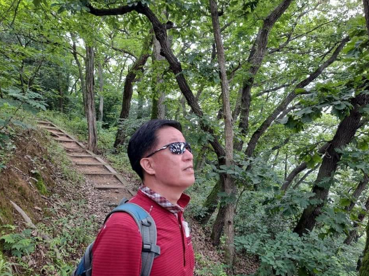 长安城里多诗意 榴花灯影相映红 一位韩国友人眼中的诗意长安