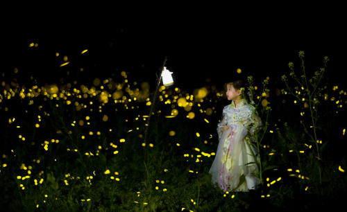 青神文旅走巴蜀 竹里萤光耀天府