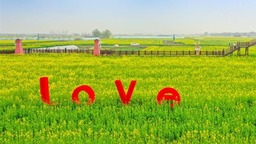 2023年岳陽國際旅遊節暨第五屆江南油菜花節開幕