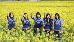 花期已至 麻江縣千畝油菜花田等你來耍