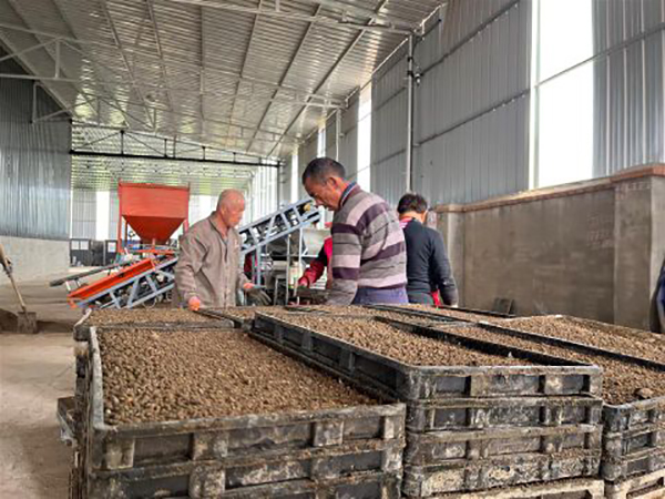 德阳旌阳：春耕正当时 工厂化育秧“科技范儿”十足_fororder_mmexport64f01b1abe834c9cd352ae9f904ba2f0_1681097031636