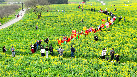 唱响“金花经济” 第十五届中国·高淳国际慢城金花旅游节开幕_fororder_图片8