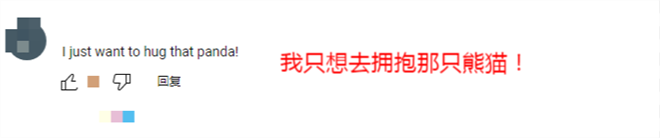 【陜耀國際·21期】陜西熊貓“七仔”海外走紅 外國網友：原來熊貓真的能拍“彩色”照片