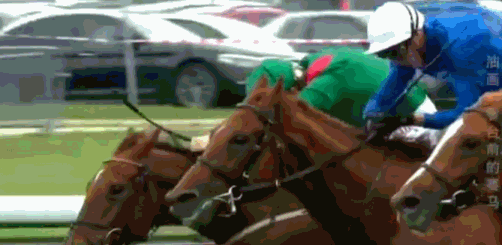 写意流畅 蓄势待发——《艺术里的奥林匹克》带您品鉴《看台前的赛马》中传统与创新的交融