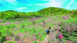 南京：老山腹地春花烂漫