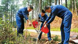 雲南植樹添新綠 不負雲嶺好春光