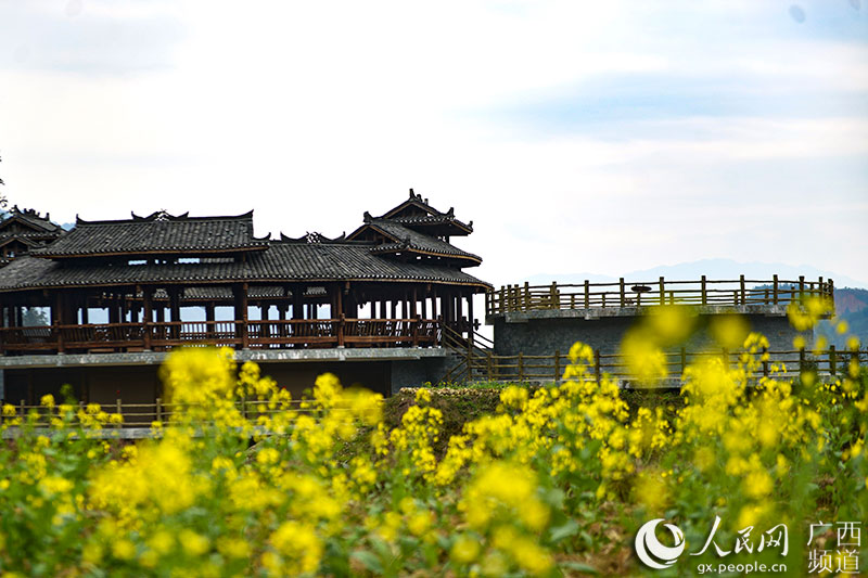 广西龙胜：春暖花开瑶寨美