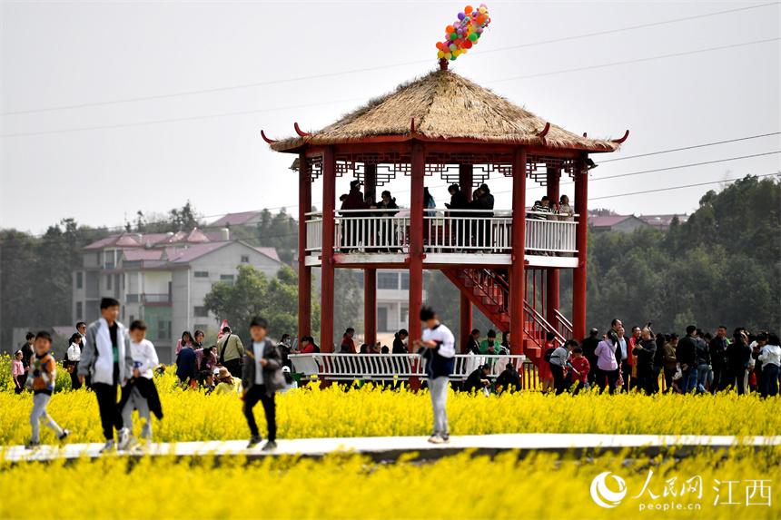 江西丰城：大地披上“黄金甲”游客到村民乐